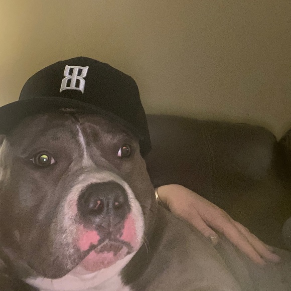 Meet your Posher, Nikki - Picture 1 of 1